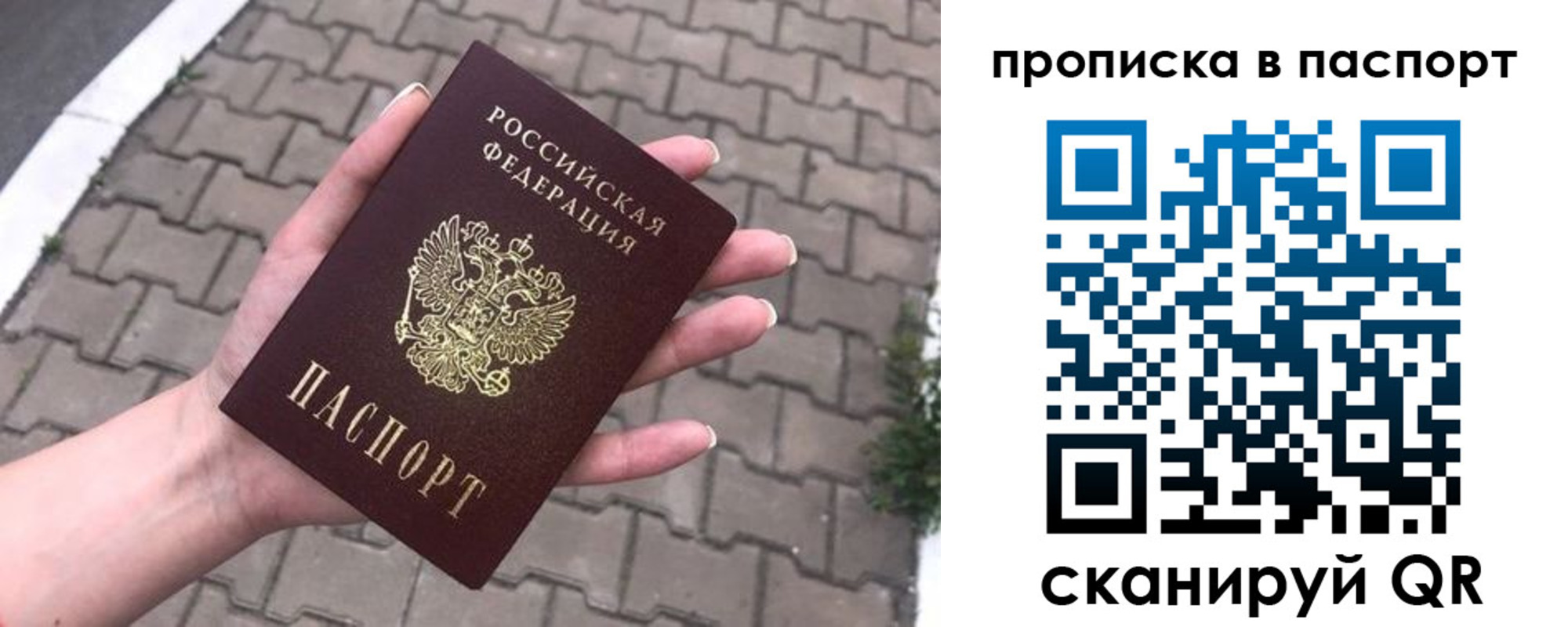 прописка поиск в Опочке